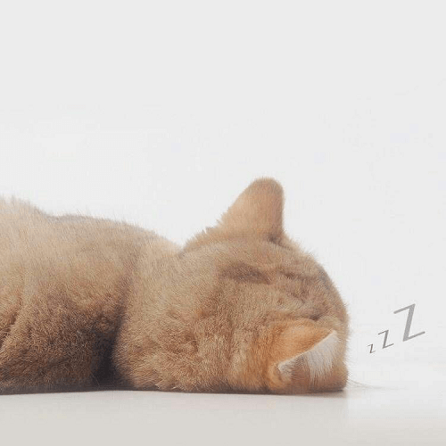 世间偶尔也有小幸运