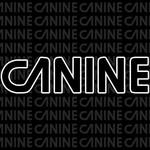 Canine