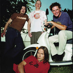 ******** Surfers