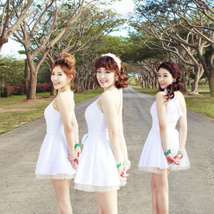 Secret (시크릿)