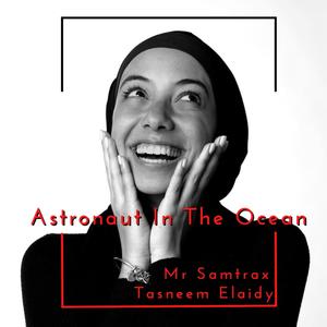 astronaut in the ocean feat tasneem elaidy
