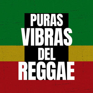Puras Vibras del Reggae (Explicit)