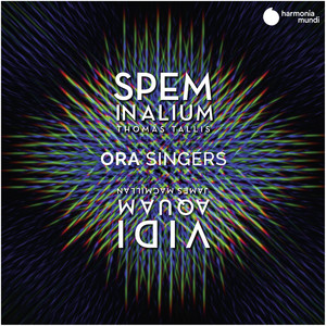 Spem in alium. Vidi aquam