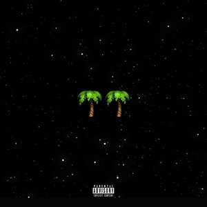 Palmwine Music 2 (Explicit)