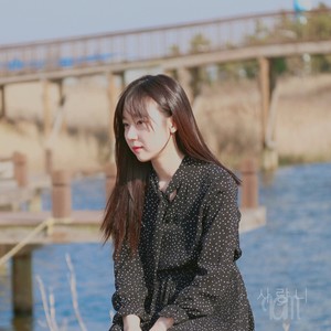 사랑니