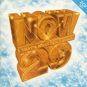 Now That's What I Call Music! 29