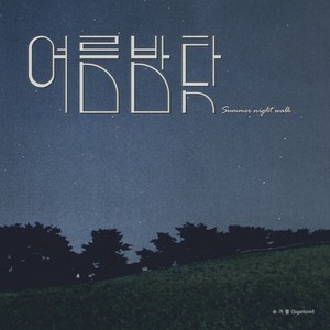 여름밤 탓 (summer night walk)