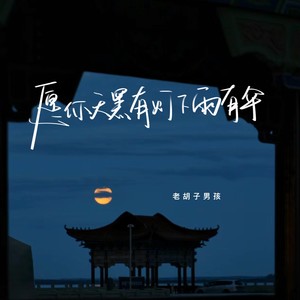 愿你天黑有灯下雨有伞Mp3下载-老胡子男孩