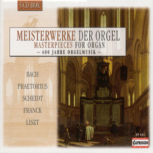Organ Music - PRAETORIUS, H. / HOFHAIMER, P. / HASSLER, H.L. / GABRIELI, A. / BULL, J. / SCHEIDT, S. / KOTTER, H. / SCHEIDEMANN, H. / BUXTEHUDE, D.