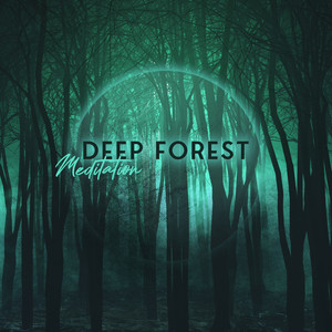 deepforestmeditation–beautifulnaturesoundsforcontemplationsself