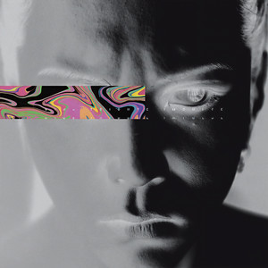 IMPULSE-hide TRIBUTE-