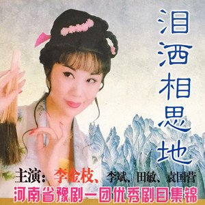 【豫剧】泪洒相思地 3/5