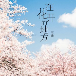 在花开的地方伴奏