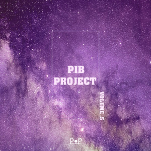 PIB Project Vol.5 (IDK)