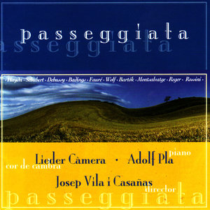 Passeggiata - Hadyn, Schubert, Debussy, Badings, etc