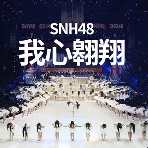 我心翱翔(热度:23)由C.T.G.翻唱，原唱歌手SNH48