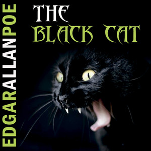 intro: the black cat