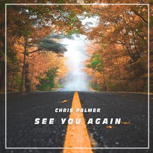 seeyouagain壁纸,iloveyou壁纸 see you again