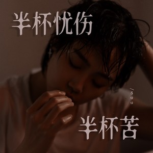 半杯忧伤半杯苦 （温柔版）Mp3下载-吕口口