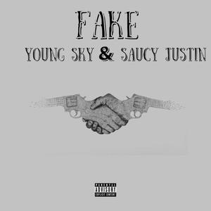 fake (explicit)