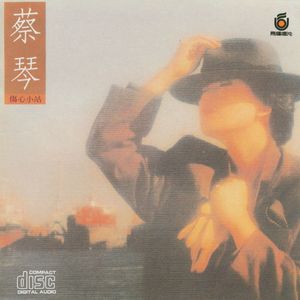 蔡琴专辑《伤心小站》封面图片