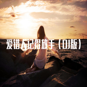 爱错人记得放手dj版