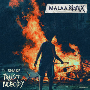 trust nobody (malaa remix)