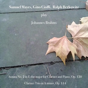 Johannes Brahms: Sonata No. 2 in E-Flat Major for Clarinet and Piano, Op. 120 - Clarinet Trio in A Minor, Op. 114