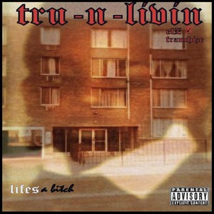 Lifes a B**ch (feat. Franchize & Elz)