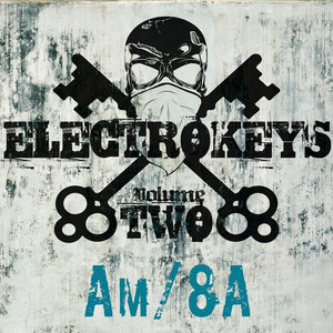 Electro Keys Am/8a Vol 2