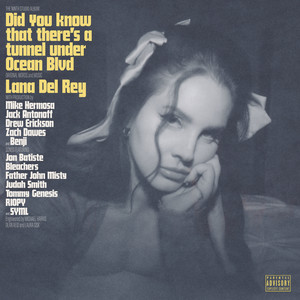 Did you know that there's a tunnel under Ocean Blvd (Explicit)