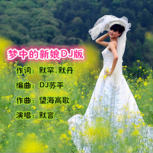 梦中的新娘(DJ版)(热度:18)由敏敏翻唱，原唱歌手默言