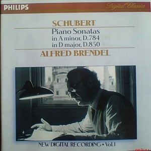 Schubert: Piano Works 1822 - 1828 (舒伯特:钢琴作品集1822 - 1828)
