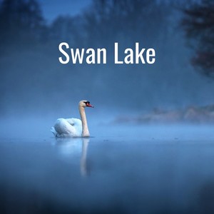 swan lake