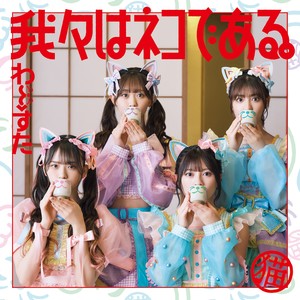 我々はネコである。 (我们是猫。)