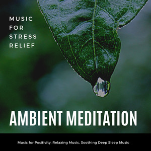 Ambient Meditation (Music For Stress Relief, Music For Positivity, Relaxing Music, Soothing Deep Sleep Music)