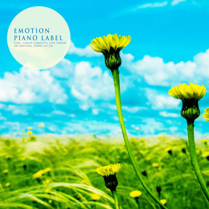 6월의 바람을 느끼며 감상하는 피아노 멜로디 (A Piano Melody To Appreciate The Wind Of June)
