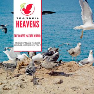 The Forest Nature World - Sounds of Toads, Elk, Birds in Nature Atmospheres, Vol. 9