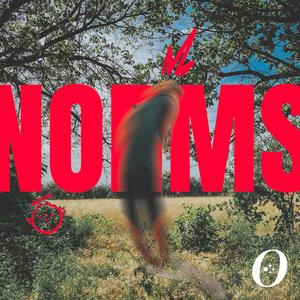 norms (explicit)