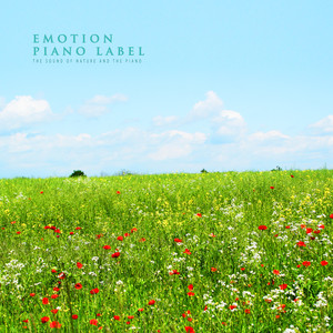 마음을 정돈시켜주는 자연의 소리와 피아노 (The Sound Of Nature And The Piano)