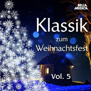 Klassik zum Weihnachtsfest, Vol. 5