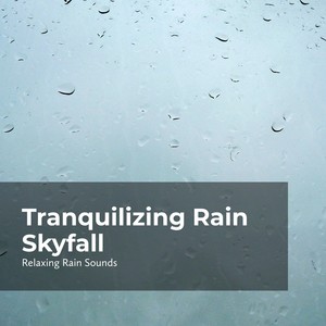 tranquilizing rain skyfall