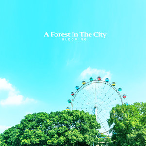 도심 속의 숲 (A Forest In The City)