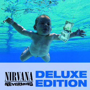 Something In The Way (Album Version)