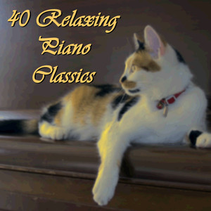 40 Relaxing Piano Classics (40首经典放松钢琴曲)