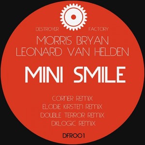 Mini Smile