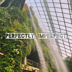 perfectly imperfect