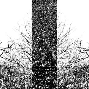 The Restless Field