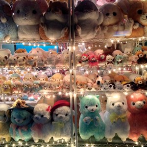 가볍고 수많은 (Light, Many)