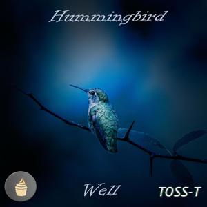 hummingbird / well